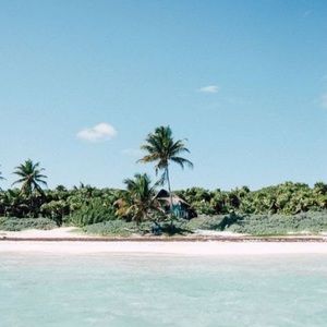 Meet your Posher, Brilazne